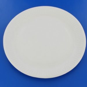 Assiette carton blanc – Ø18 cm – Biodégradable